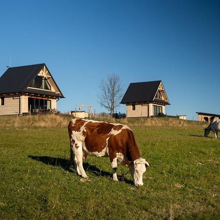 Osada Janosika Villa Klikuszowa Bagian luar foto