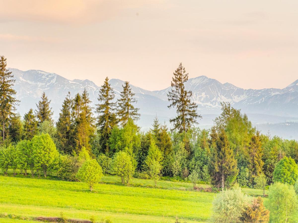 Osada Janosika Villa Klikuszowa Bagian luar foto